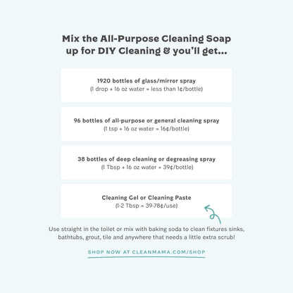 All-Purpose Cleaning Soap