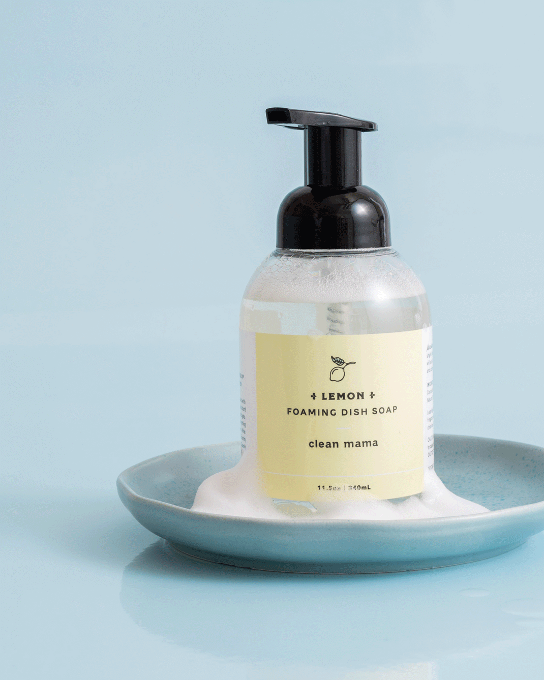 Home Goods Clean Mama