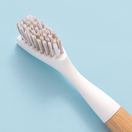 Detail Cleaning Brush